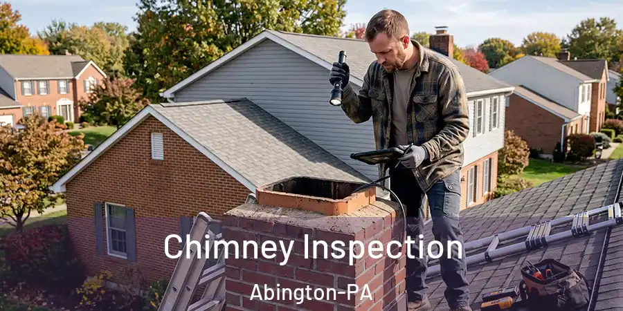 Chimney Inspection Abington-PA